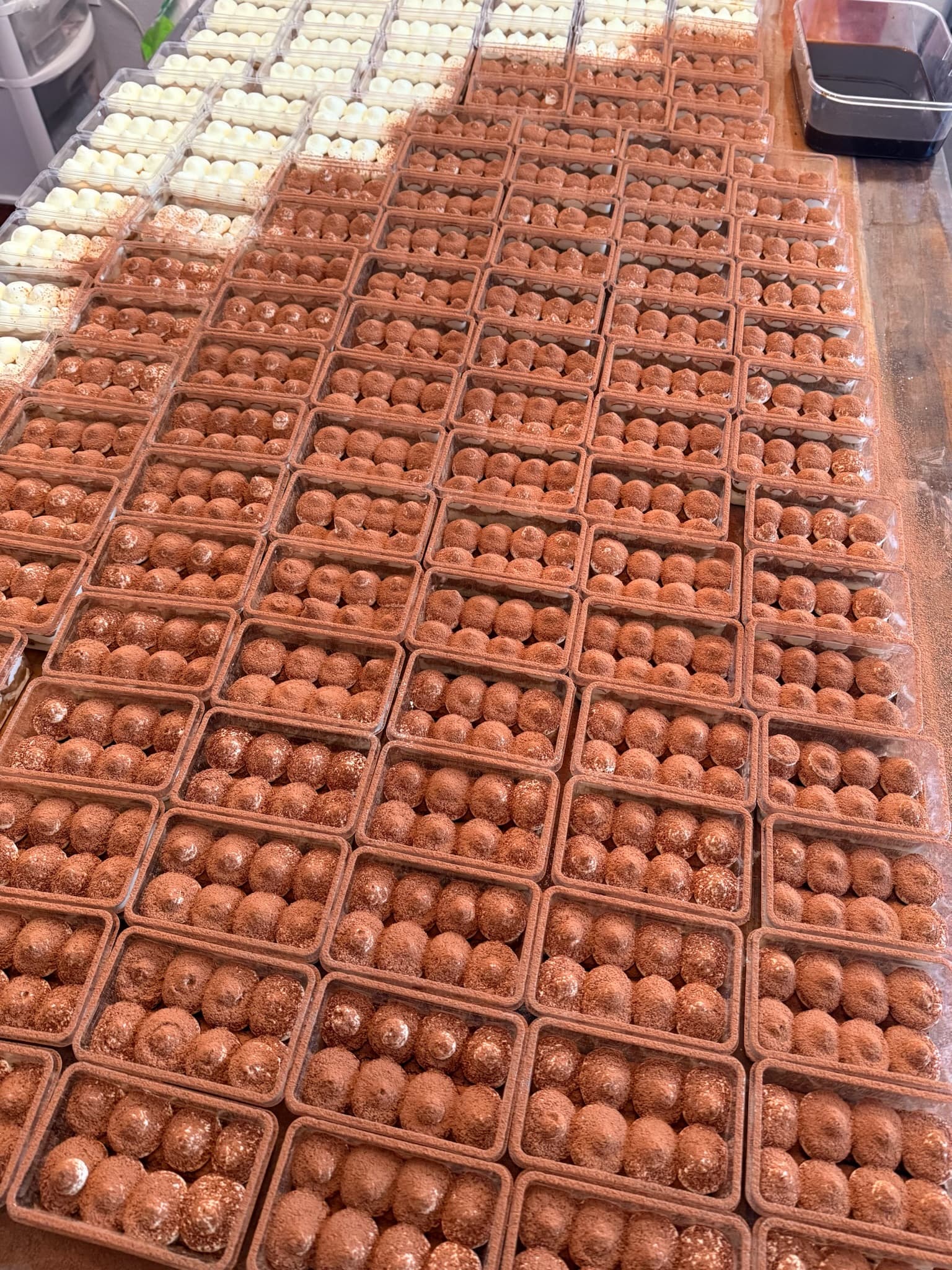 Rows of individual house-made tiramisu servings being prepared for a Forno Via event